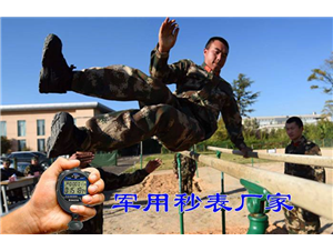 New army stopwatch timer fitness test