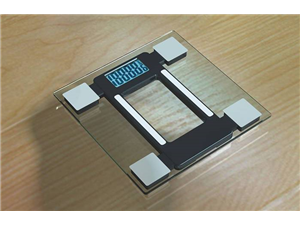 广东脂肪秤厂家