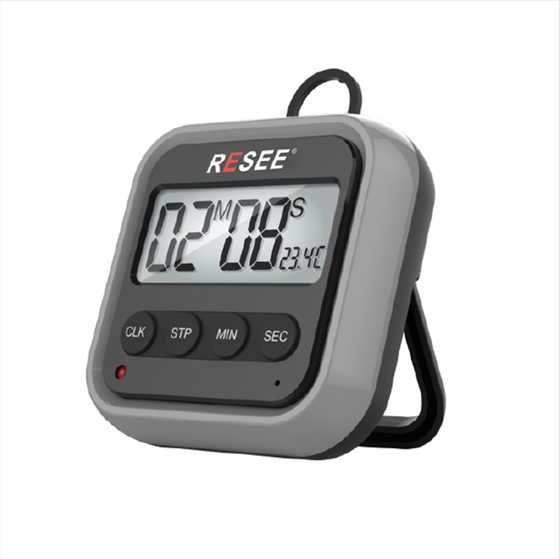 Timer rs-302