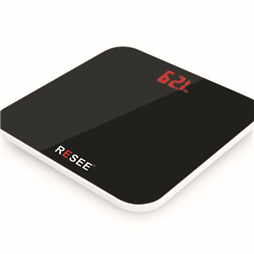 RS -6001 electronic weight scale