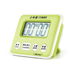 Timer rs-303